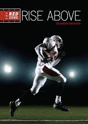 Cover of the book Rise Above by Eleanor Allen