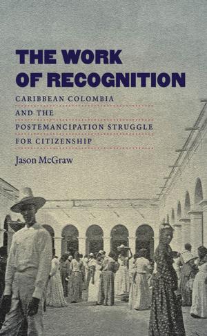 Cover of the book The Work of Recognition by 