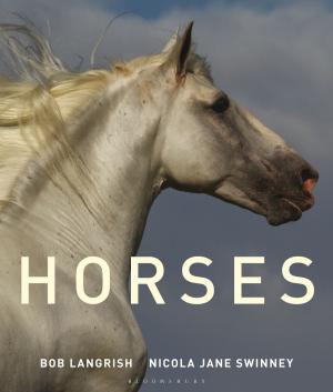 Cover of the book Horses by 