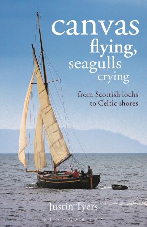 Cover of the book Canvas Flying, Seagulls Crying by Nora Martin