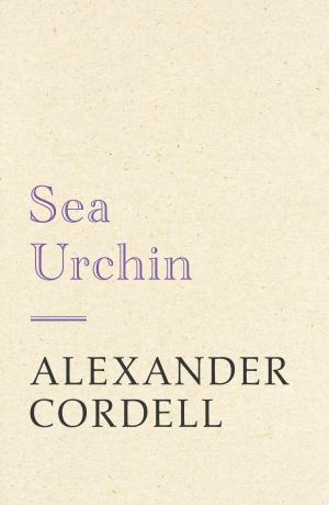 Cover of the book Sea Urchin by Carolyn Meggitt