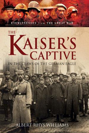 Cover of the book The Kaiser's Captive by Carol A. Wirth
