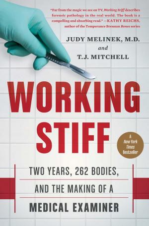 Cover of the book Working Stiff by Matts Djos, Jeanine Djos