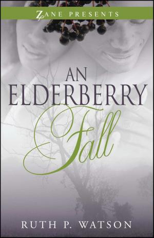 Cover of the book An Elderberry Fall by Allison Hobbs, Karen E. Quinones Miller