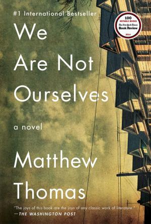 Cover of the book We Are Not Ourselves by Y. Euny Hong