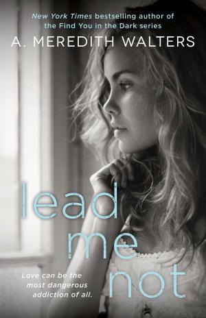 Cover of the book Lead Me Not by Mary Logue