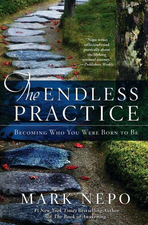 Cover of the book The Endless Practice by Jack Kornfield