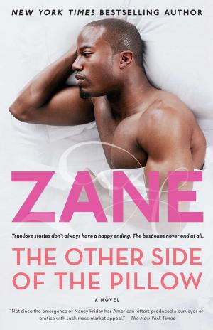 Cover of the book The Other Side of the Pillow by Abbi Glines