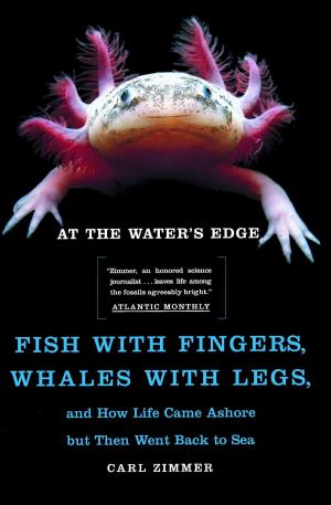 Cover of the book At the Water's Edge by Jamie McGuire