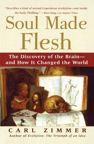 Cover of the book Soul Made Flesh by Bernadette Fisers