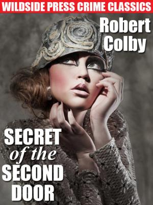 Book cover of Secret of the Second Door