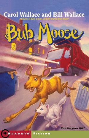 Cover of the book Bub Moose by Robert Quackenbush