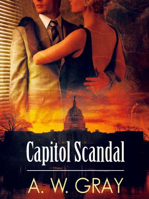 Cover of the book Capitol Scandal by Émile Gaboriau