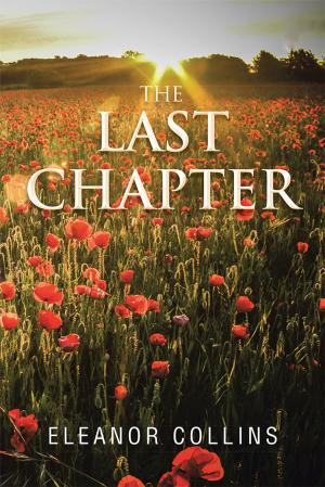 Cover of the book The Last Chapter by Vinayak Ghadi