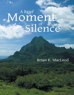 Cover of the book A Brief Moment of Silence by Ron Newby