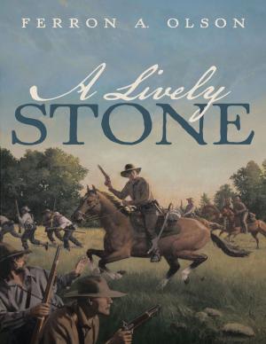Cover of the book A Lively Stone by Misty Reddington