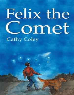 Cover of the book Felix the Comet by Tom Kloske