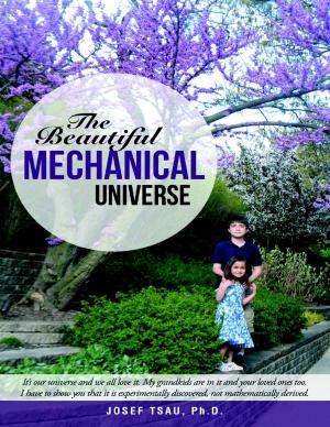 Cover of the book The Beautiful Mechanical Universe by Tushar S. Chande, Ph.D., MBA