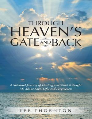 Cover of the book Through Heaven's Gate and Back: A Spiritual Journey of Healing and What It Taught Me About Love, Life, and Forgiveness by Jonathan Stewart