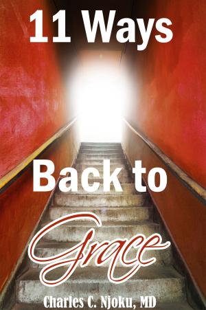 Cover of the book 11 Ways Back to Grace by Kristen Wernecke