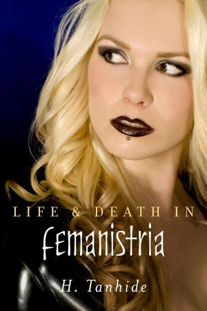 Cover of the book Life & Death in Femanistria by Rev.Dr. Sylvia A. Blessings