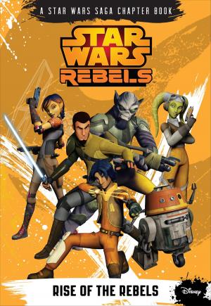 Book cover of Star Wars Rebels: Rise of the Rebels