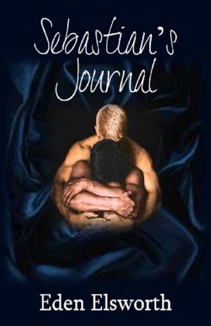 Cover of Sebastian's Journal