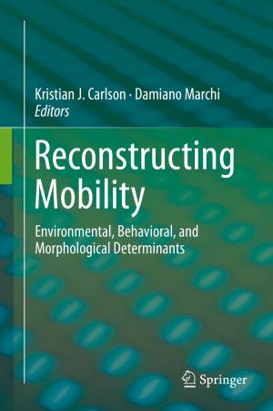 Cover of the book Reconstructing Mobility by Zhiang (John) Lin, Kathleen M. Carley