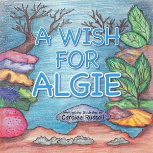Cover of the book A Wish for Algie by J.S. DELANEY