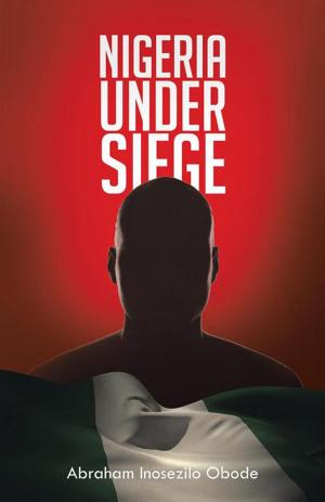Cover of the book Nigeria Under Siege by James Kaye
