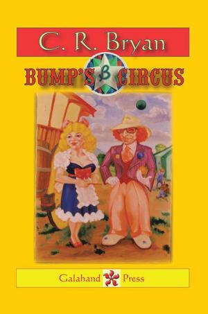 Cover of the book Bump’S Circus by Juan Daniel Brito