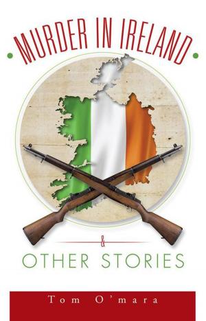 Cover of the book Murder in Ireland & Other Stories by R. Evans Pansing