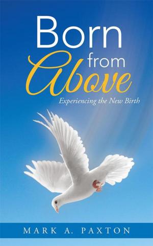 Cover of the book Born from Above by Denise R. Solomon