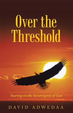Cover of the book Over the Threshold by Wendy J. Gade