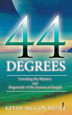 Cover of the book 44 Degrees by Dr. Kwasi Kodua Addai-Mensah