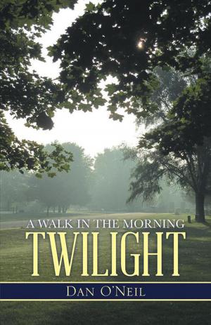 Cover of the book A Walk in the Morning Twilight by Jewell E. Myers May