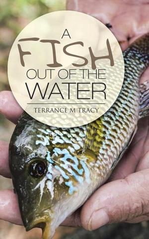 Cover of the book A Fish out of the Water by Rev. Dr. Jon K. Anderson