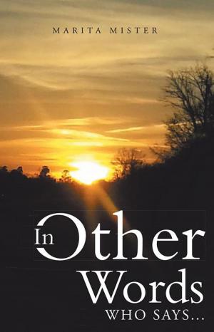 Cover of the book In Other Words by Lorie Fifer Chinn