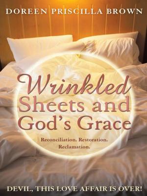 Cover of the book Wrinkled Sheets and God’S Grace by Foluke Omosule