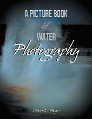 Cover of the book A Picture Book of Water Photography by Iris Pachler PhD