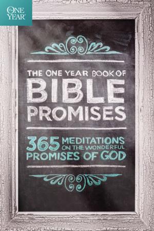 Book cover of The One Year Book of Bible Promises