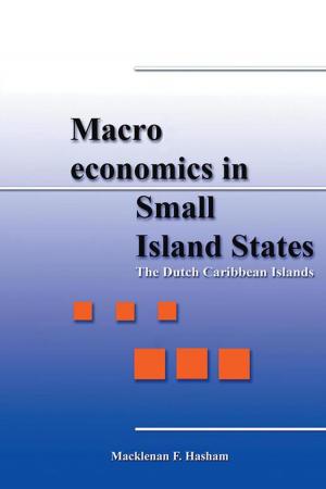 Cover of the book Macroeconomics in Small Island States by Felipe B. Nery