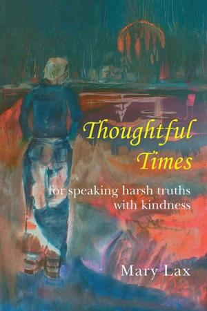 Cover of the book Thoughtful Times by Bonny Franke