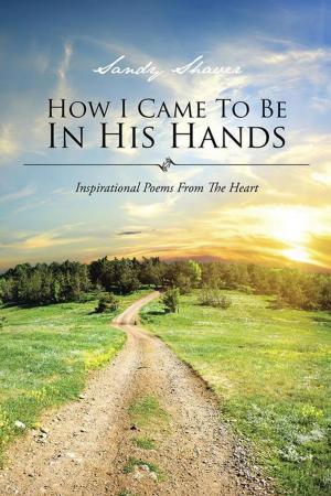 Cover of the book How I Came to Be in His Hands by Margaritë Camaj
