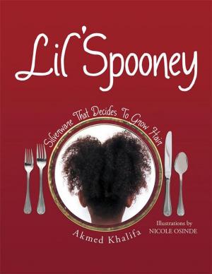 Cover of the book Lil' Spooney by Dennis Michael Ehler
