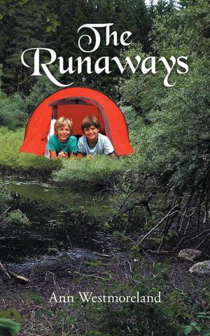 Cover of the book The Runaways by Winnie Shields