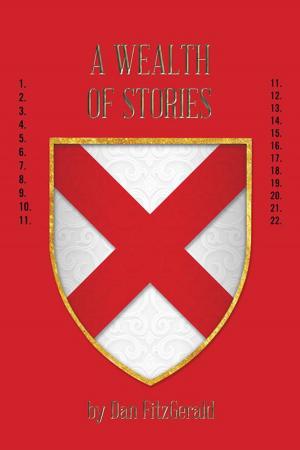 Cover of the book A Wealth of Stories by Ruth Ann Lloyd