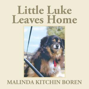 Cover of the book Little Luke Leaves Home by Matt Harris
