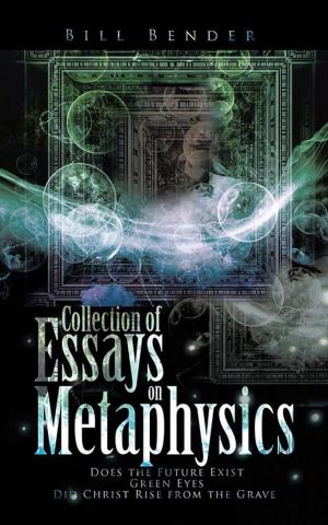 Cover of the book Collection of Essays on Metaphysics by Michelle Fay