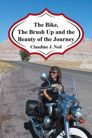Cover of the book The Bike, the Brush up and the Beauty of the Journey by Agnes Williams